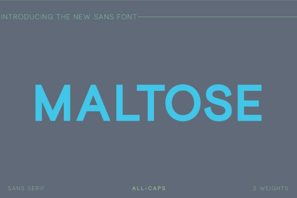 Maltose Font: Modern Typography for Publishing
